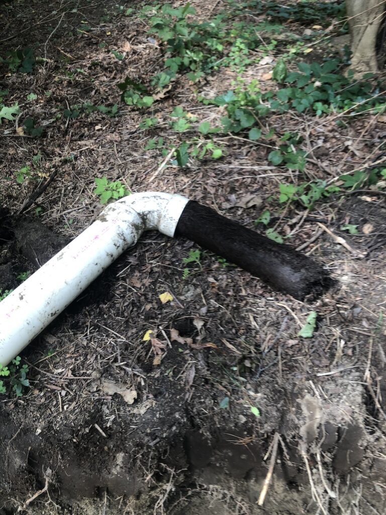 underground pipe in Acton Ma infiltrated by a root needing repair