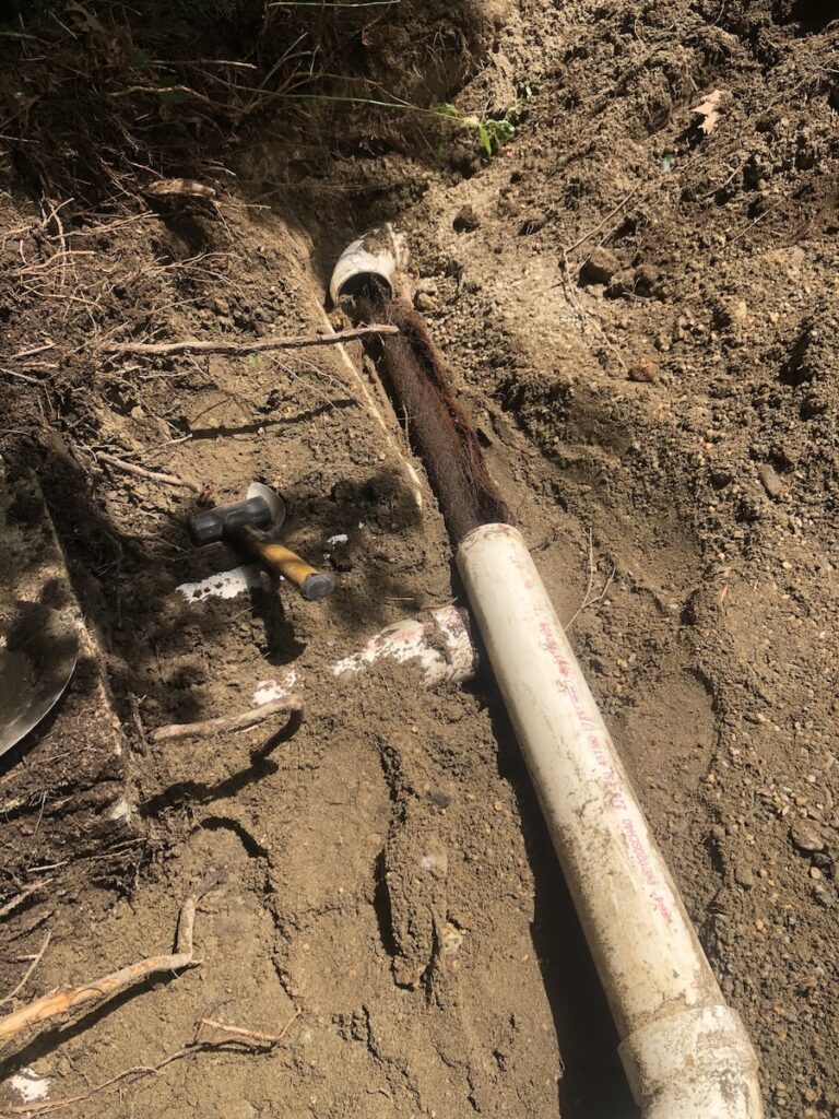 underground pipe in Acton Ma infiltrated by a root needing repair